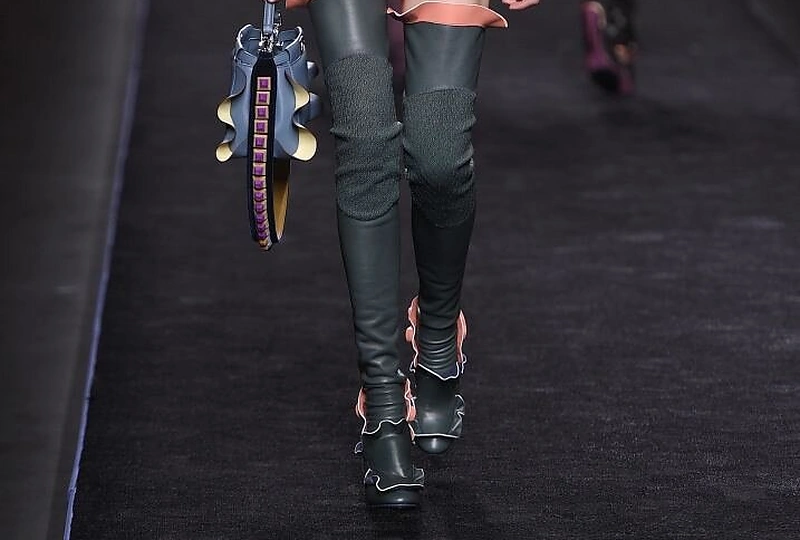 Aulinių rudens tendencijos