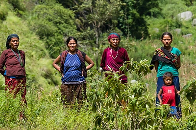 Sauliaus Damulevičiaus kelionė į vieną pavojingiausių viršukalnių – Manaslu / Sauliaus Damulevičiaus nuotr.