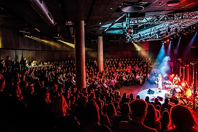 Monikos Linkytės koncerto Kaune akimirka / Manto Repečkos nuotr.