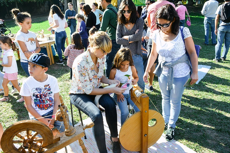 Mokymai verpti Serralves muziejuje