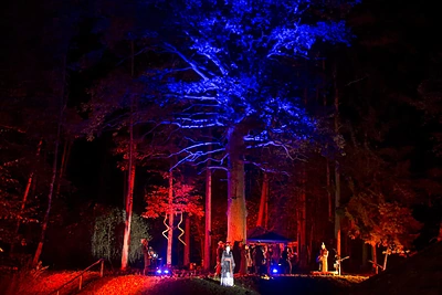 „Skylės“ koncertas