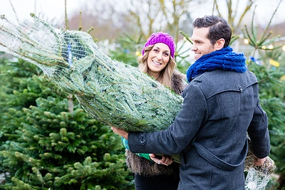 Kaip laikyti ir prižiūrėti kalėdinę eglutę, kad spygliai nenubyrėtų anksčiau laiko?