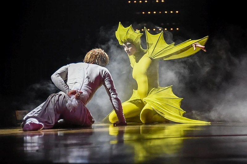 „Cirque du Soleil“ spektaklis „Varekai“