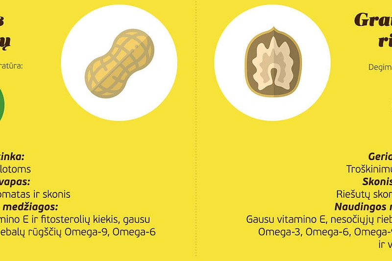 Aliejaus infografikas