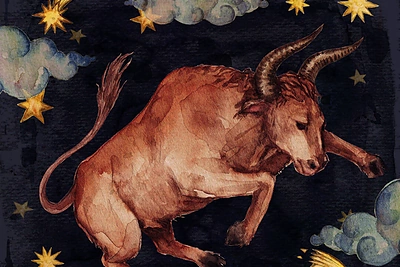 Jautis: 2017-ųjų metų horoskopas