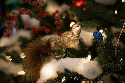 Evelinos Young kalėdinė eglutė