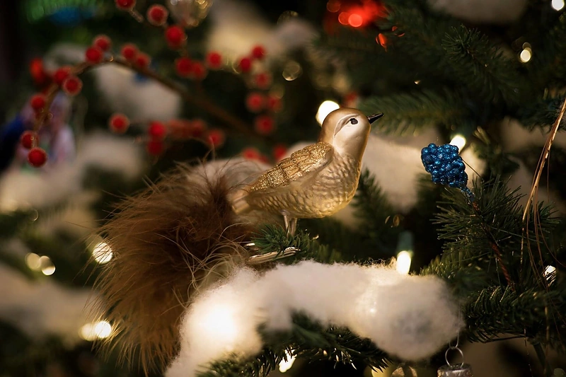 Evelinos Young kalėdinė eglutė