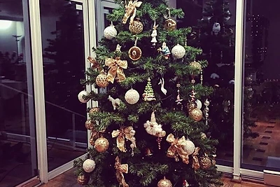 Sofio Gelašvili-Niūniavė