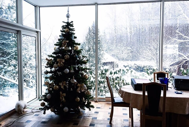 Sofio Gelašvili-Niūniavė