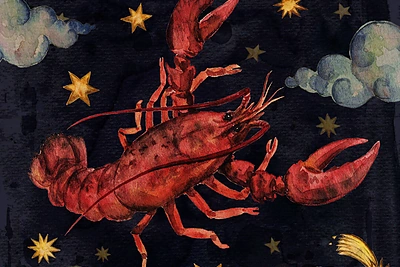 Vėžys: 2017-ųjų metų horoskopas