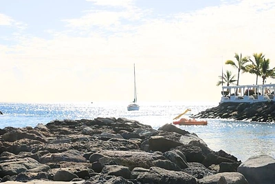 Milanos Jašinskytės kelionė