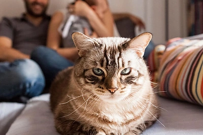 Dvasios ramybė „hygge“ persmelktuose namuose: 7 patarimai, kaip tokius sukurti