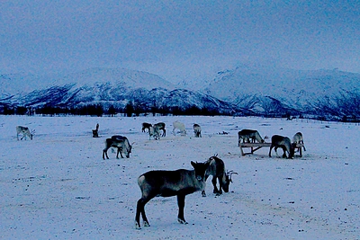 Trumsės miestas Norvegijoje