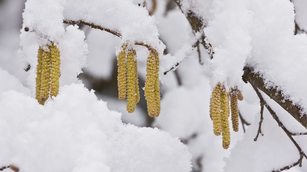 vida_press_22.80179106