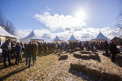 Užgavėnės Rumšiškėse