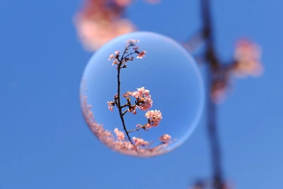 Savaitės horoskopas – kovo 6–12 d.