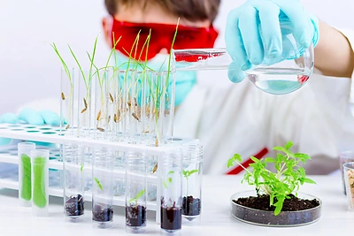 Maisto pramonėje turėtų nelikti GMO