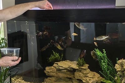 Ovidijus Vyšniauskas