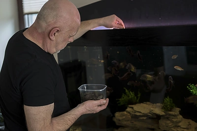 Ovidijus Vyšniauskas