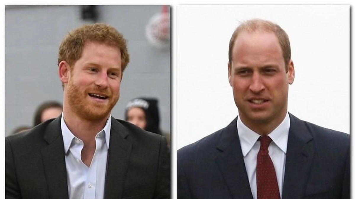 Princai Williamas ir Harry