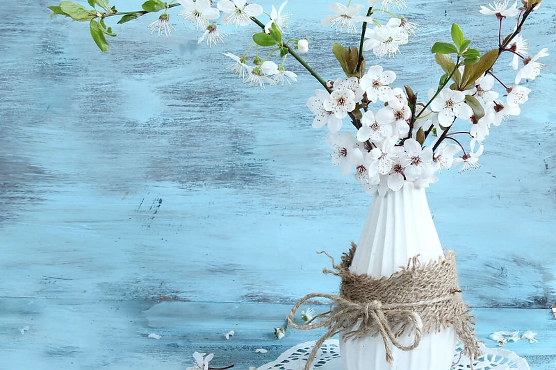 Žydinčio obelų šakelės