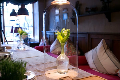 Manto Petruškevičiaus gimtadienis