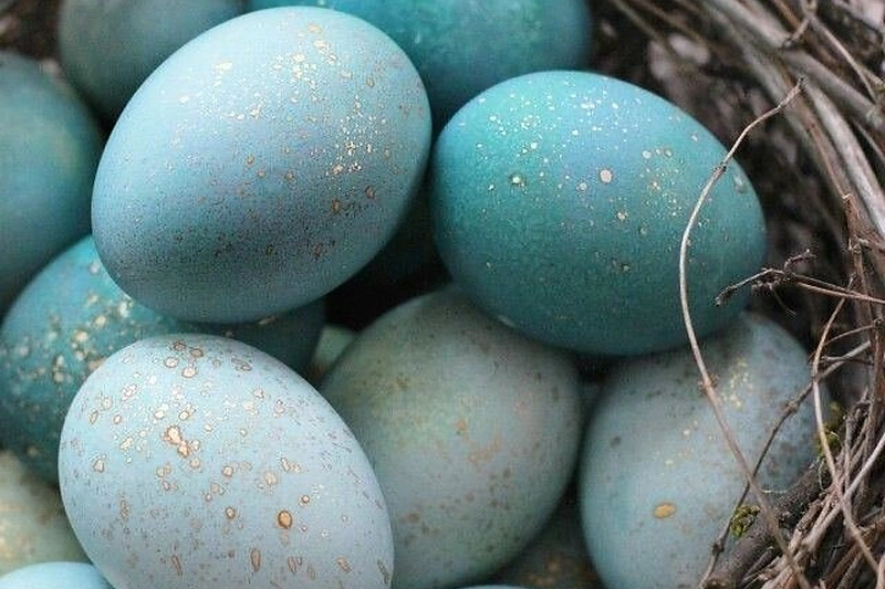 12 idėjų kitokiems margučiams