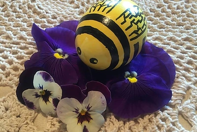 17974715_1435301043199717_1488152379_n