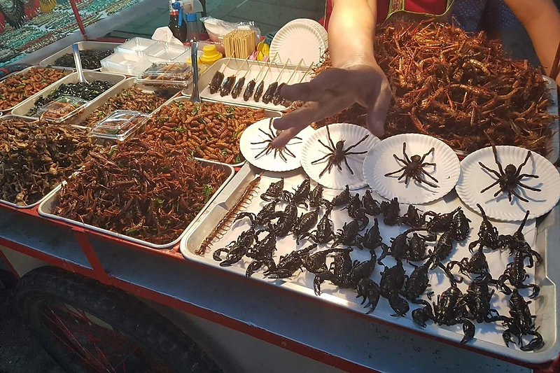 Donatos Virbilaitės atostogos Tailande