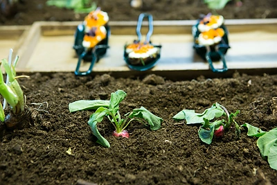 Parodos „Mes“ atidarymas