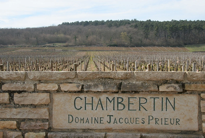 Vyno žinovas Arūnas Starkus su žmona Rasa pepratę vyno pasaulio subtilybes