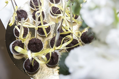 Į drabužių parduotuvės CHIC atidarymą rinkosi žymios moterys/ 2017 m. gegužės 10 d.