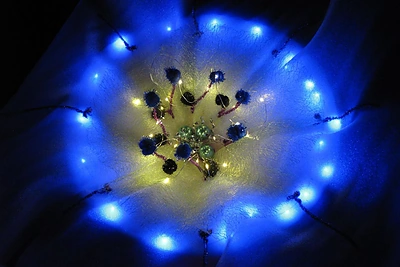 Šviečiančių gamtos objektų instaliacija