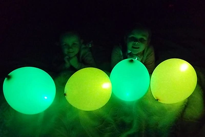 Šviečiančių gamtos objektų instaliacija