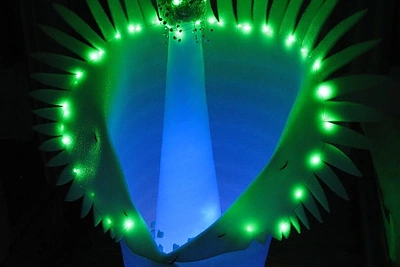 Šviečiančių gamtos objektų instaliacija