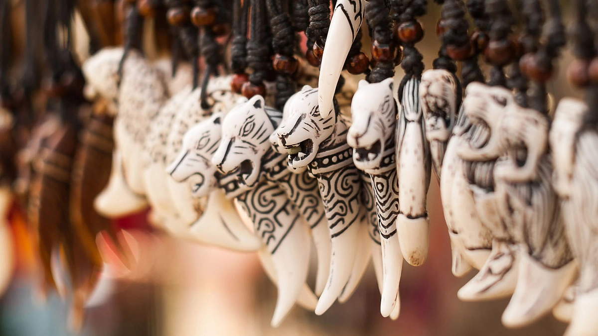 Amuletas iš vilko dantų