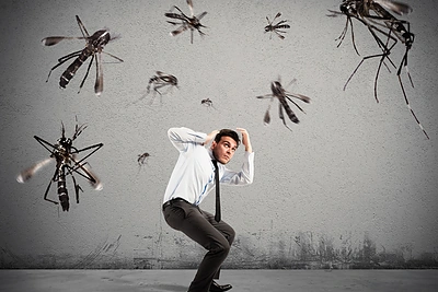 Kaip natūraliais būdais kovoti su uodais