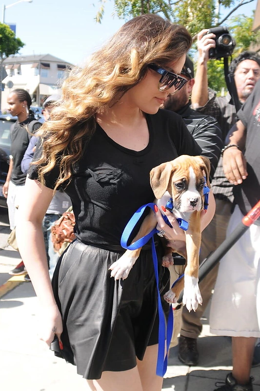 Khloe atidavė bokserį Bernardą savo bičiuliams