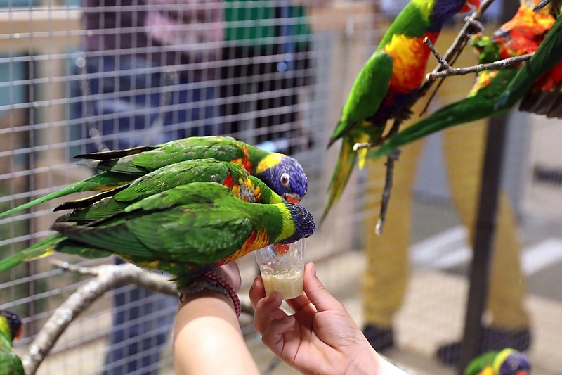 Kaune duris atvėrė naujas zoologijos sodas