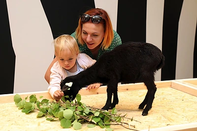 Kaune duris atvėrė naujas zoologijos sodas