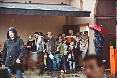 Jurgos Šeduikytės koncerto akimirkos