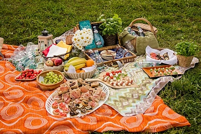 Piknikų sezonas prasideda: kokias iškylas gamtoje renkasi Lietuvos žmonės