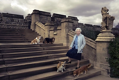 Karalienė Elizabeth II su dviem korgiais ir dviem dorgiais. / Vida Press nuotr.