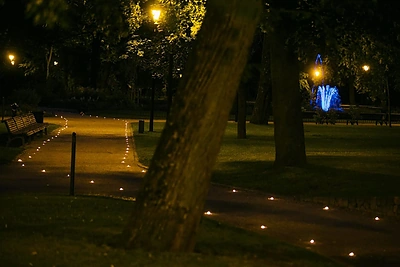 Augustinas Viruišis dėl mylimosios Bernardinų sode uždegė 700 šimtus žvakių ir jai pasipiršo