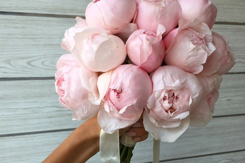 „Cukrinio kaspinėlio“ puokštės nuotakoms