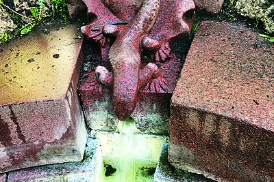 Driežas atvertais, iš kurių trykšta gyvybės ir sveikatos eliksyras - sieros prisotintas vanduo