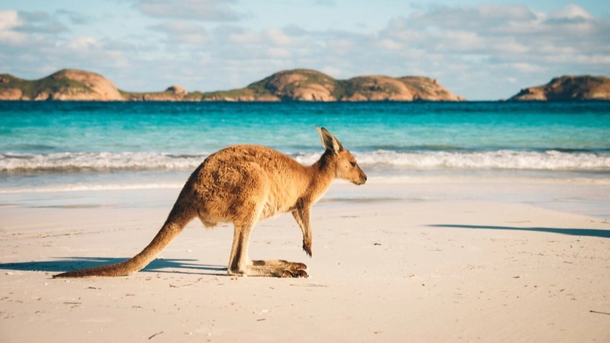 Kelionė į Australiją