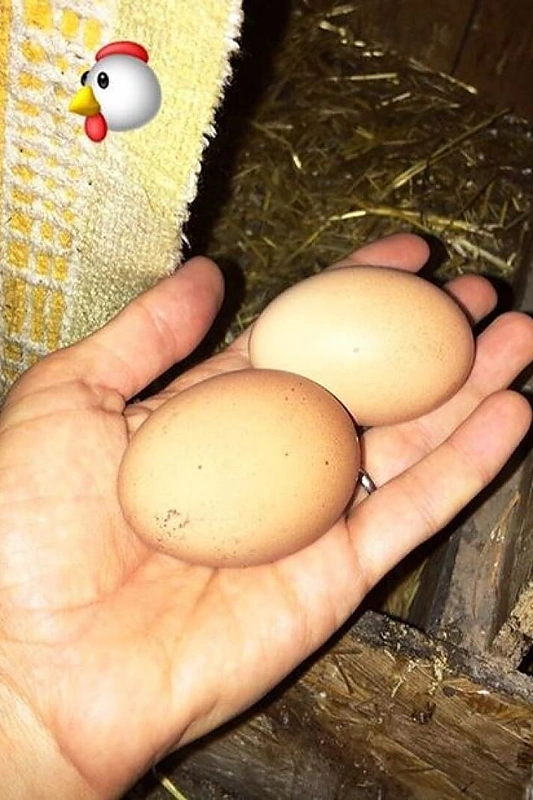 Irinos Shayk atostogų pas močiutę įspūdžiai