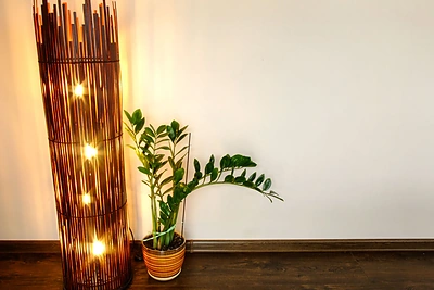 Pinigų medis. Neužtenka tik turėti! Magiški ritualai, kurie padės praturtėti