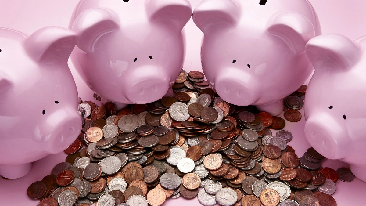 Kiaulės taupyklės / 123RF.com nuotr.